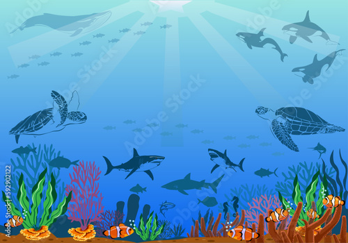 Underwater scene with coral reefs and exotic fish.vector hand drawn sea turtle life elements