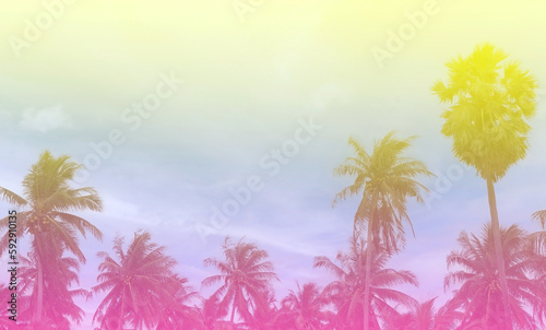 Fototapeta Naklejka Na Ścianę i Meble -  Summer with colorful theme as palm trees background as texture frame background