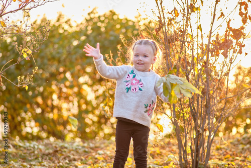 Cute little girl with pigtails in a gray sweater playing with autumn leaves.