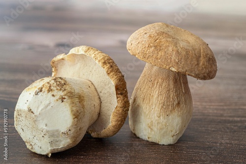 Closeup of two Agaricus bisporus dible mushroom on wooden surface