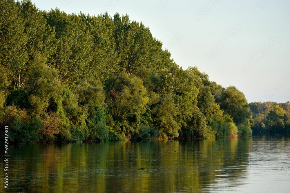Beautiful view of the Danube river lined with dense trees