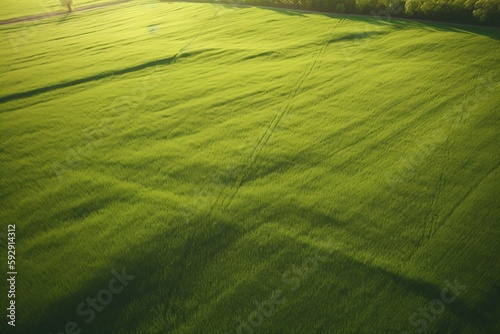 top view of fields, grass field, created with AI, generative AI, AI © RMKD