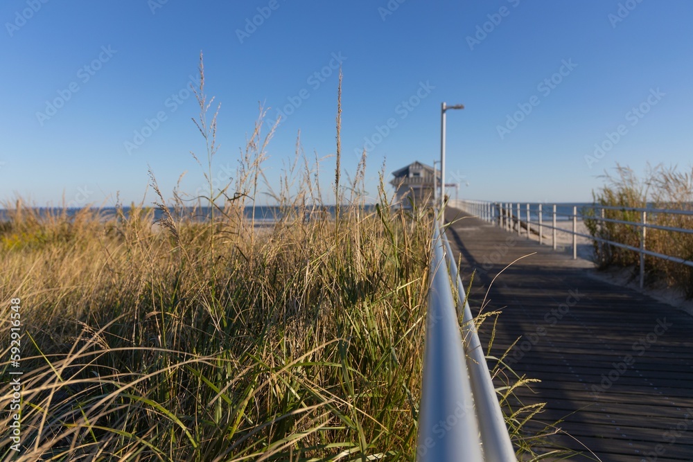 Fenced boardwalk with green and brown grass under blue sky in Ventnor City, New Jersey Fenced boardwalk with green and brown grass under blue sky in Ventnor City, New Jersey