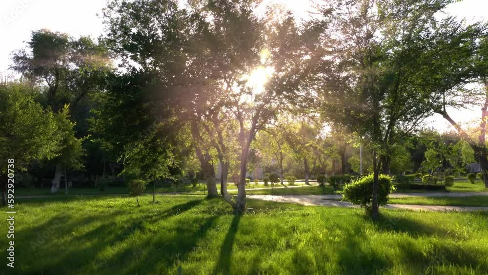 Drone view through a sunny green park