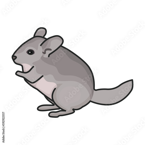 Rat vector icon.Color vector icon isolated on white background rat.