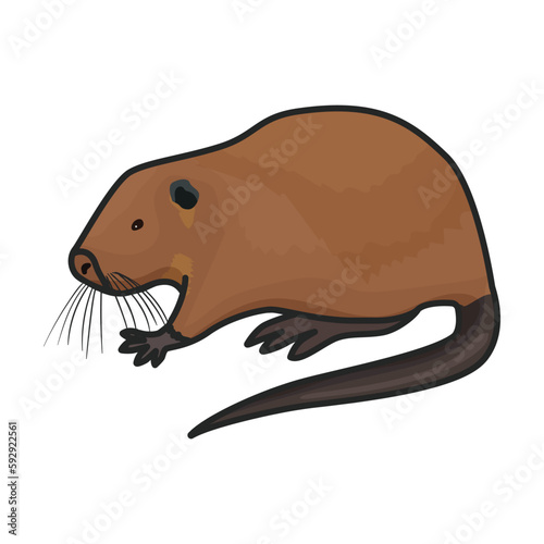 Rat vector icon.Color vector icon isolated on white background rat.