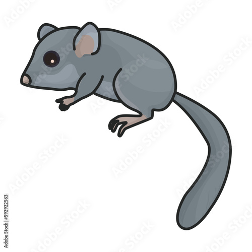 Rat vector icon.Color vector icon isolated on white background rat.