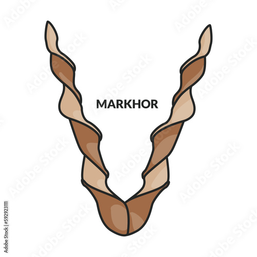 Horn of greater kudu vector icon.Color vector icon isolated on white background horn of greater kudu.