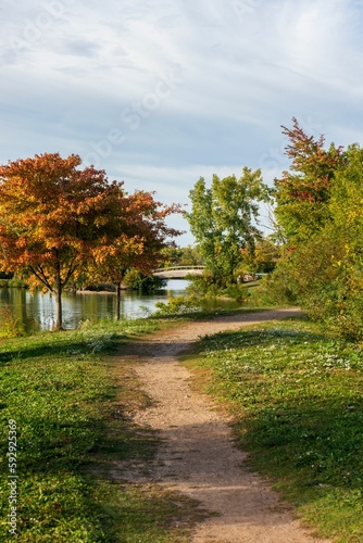 Vertical shot of a quiet park and a walkway surrounded by green plants and a lake