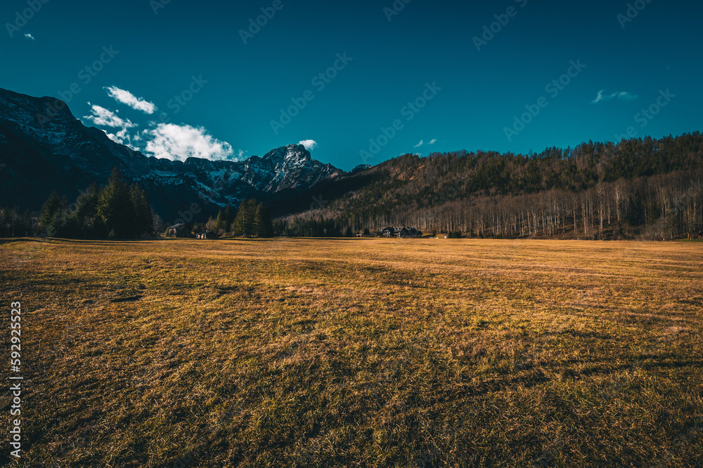 Scenic shot of a field and houses surrounded by autumn forests and rocky mountains