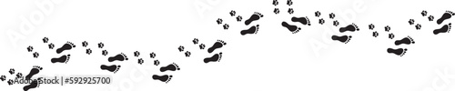 Vector of the paw and feet print tails on the white background