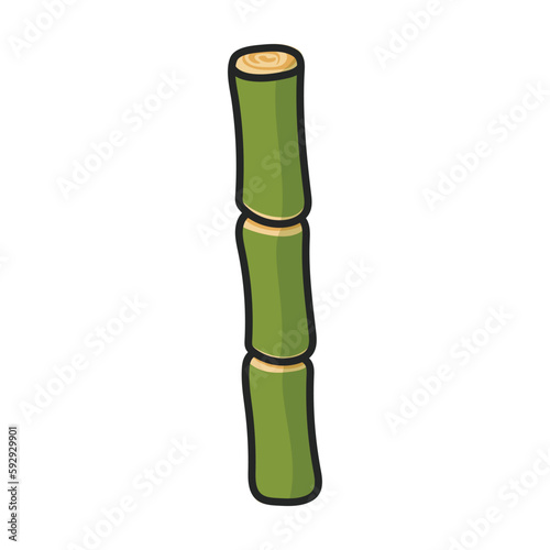 Stem of sugar cane vector icon.Color vector icon isolated on white background stem of sugar cane .