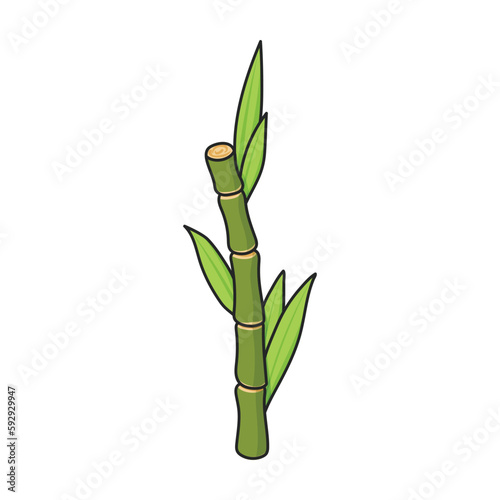 Stem of sugar cane vector icon.Color vector icon isolated on white background stem of sugar cane .