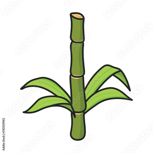 Stem of sugar cane vector icon.Color vector icon isolated on white background stem of sugar cane .