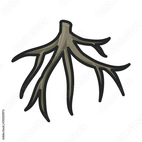Stem of sugar cane vector icon.Color vector icon isolated on white background stem of sugar cane .