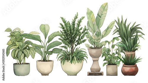 イラスト調の観葉植物(切り抜き) No.006 | Illustrative houseplants cut-out (picture, coloured paper, etc.) Generative AI