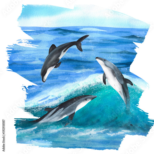 Three hand drawn watercolor dolphins