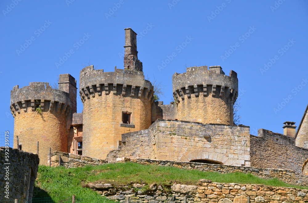 CHÂTEAU DE PALUEL 15 éme SIÈCLE