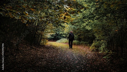 Female walking on a path amid dense trees in autumn