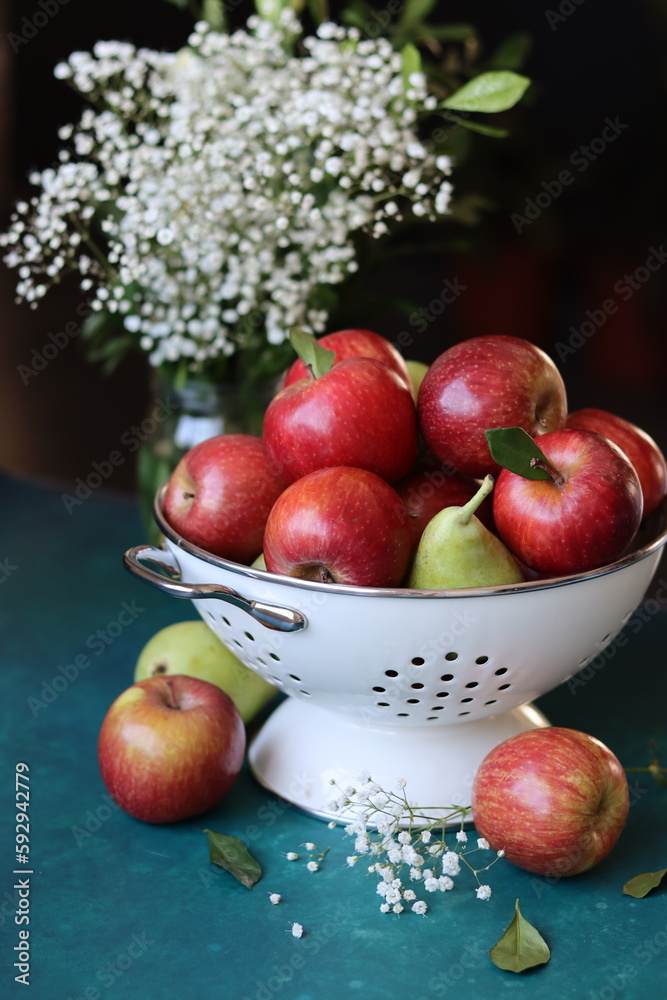 White flowers and red apples on a black background. Still life with juicy seasonal organic fruit in white colander on blue table. Vibrant colors of flowers and apples. Eating fresh concept. White flowers and red apples on a black background. Still life with juicy seasonal organic fruit in white colander on blue table. Vibrant colors of flowers and apples. Eating fresh concept.