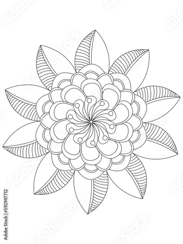 Flowers  Leaves Coloring page Adult.Contour drawing of a mandala on a white background.  Vector illustration