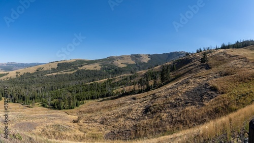 Beautiful scene of landscape of hills with green trees and dry grass on a sunny day