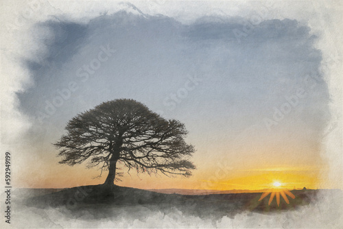 Digital watercolor painting of a lone tree on Grindon Moor, Staffordshire. photo