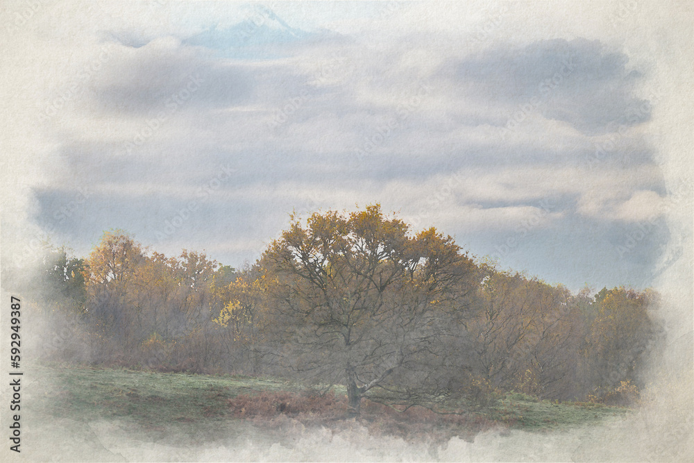 Digital watercolour painting of autumnal fall tree and leaf colours at the Downs Banks, Barlaston, Staffordshire. Digital watercolour painting of autumnal fall tree and leaf colours at the Downs Banks, Barlaston, Staffordshire.