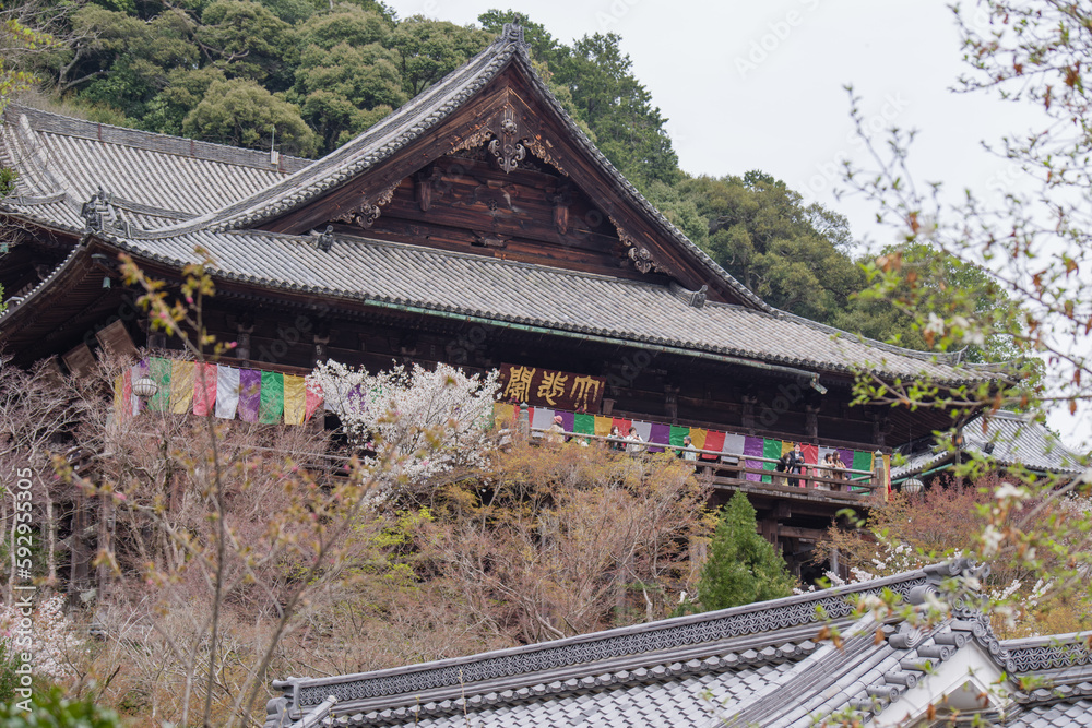 奈良長谷寺の春景色