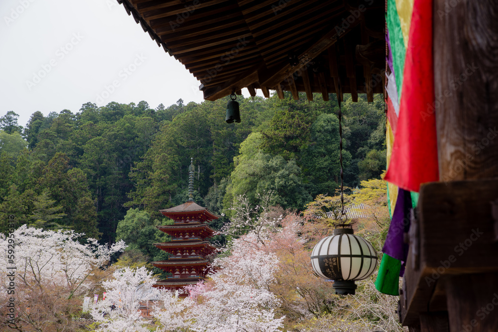 奈良長谷寺の春景色
