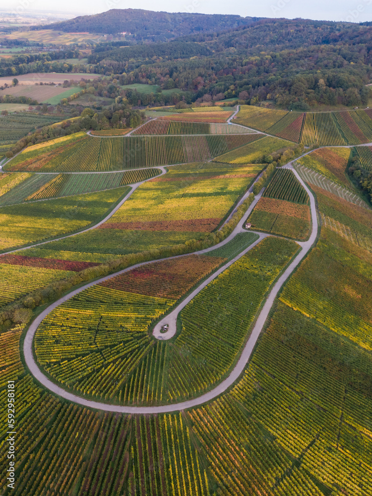 Drohnenfoto von Weinbergen in Hohenlohe im Herbst