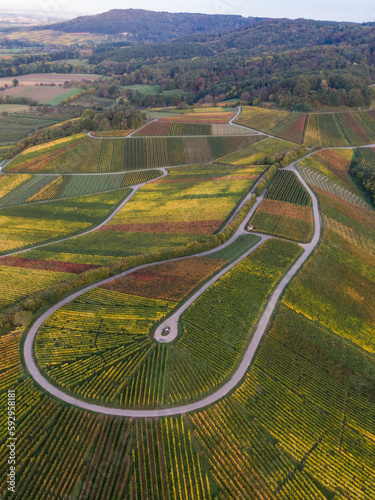 Drohnenfoto von Weinbergen in Hohenlohe im Herbst