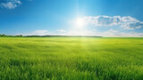 Blissful Summer Landscape: Green Field, Blue Sky and Shining Sun