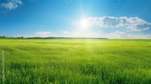 Blissful Summer Landscape  Green Field  Blue Sky and Shining Sun