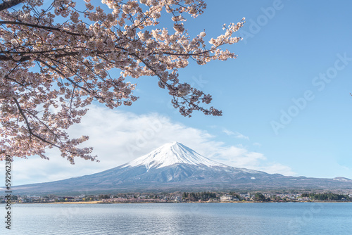 Fuji mountain with cherry blossom flower in April © anekoho