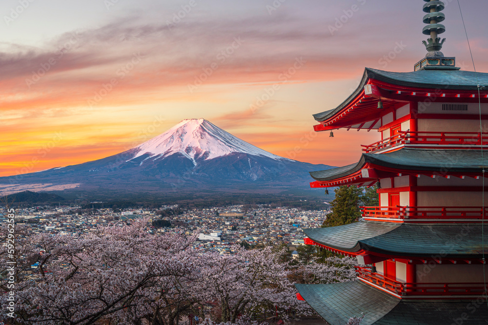 Red chureito pagoda with cherry blossom and Fujiyama mountain on the night