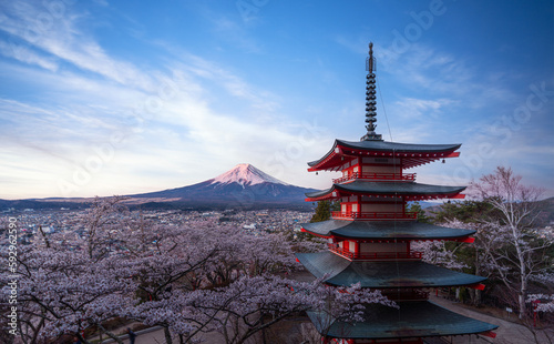 Red chureito pagoda with cherry blossom and Fujiyama mountain on the night