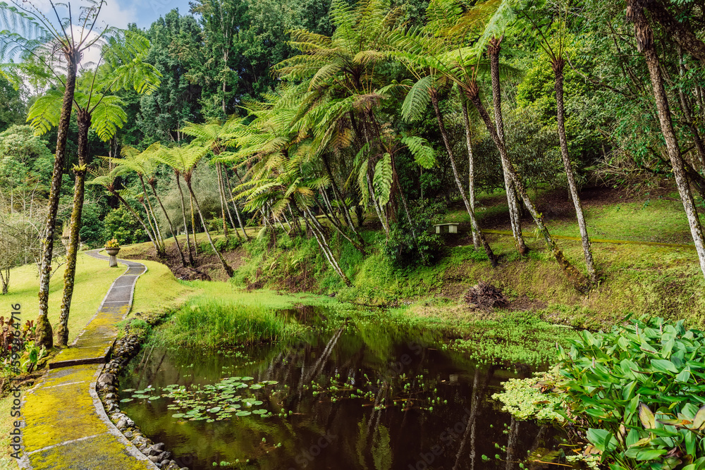 Lake in tropical botanic garden with big trees and ferns on background. Bali botanical garden, Indonesia. Lake in tropical botanic garden with big trees and ferns on background. Bali botanical garden, Indonesia.