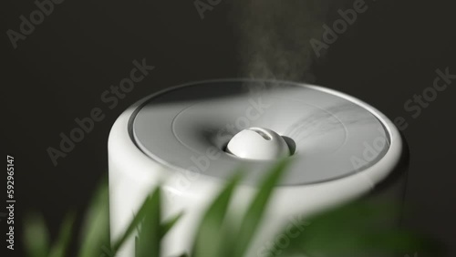 Air purifier and humidifier releases strong stream of cold steam close green houseplant. Care and hydration of houseplants in dry air. Healthy lifestyle concept. Fresh air, cleaning and removing dust.
