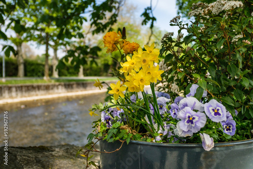 flowers in a pot on the bank of a river