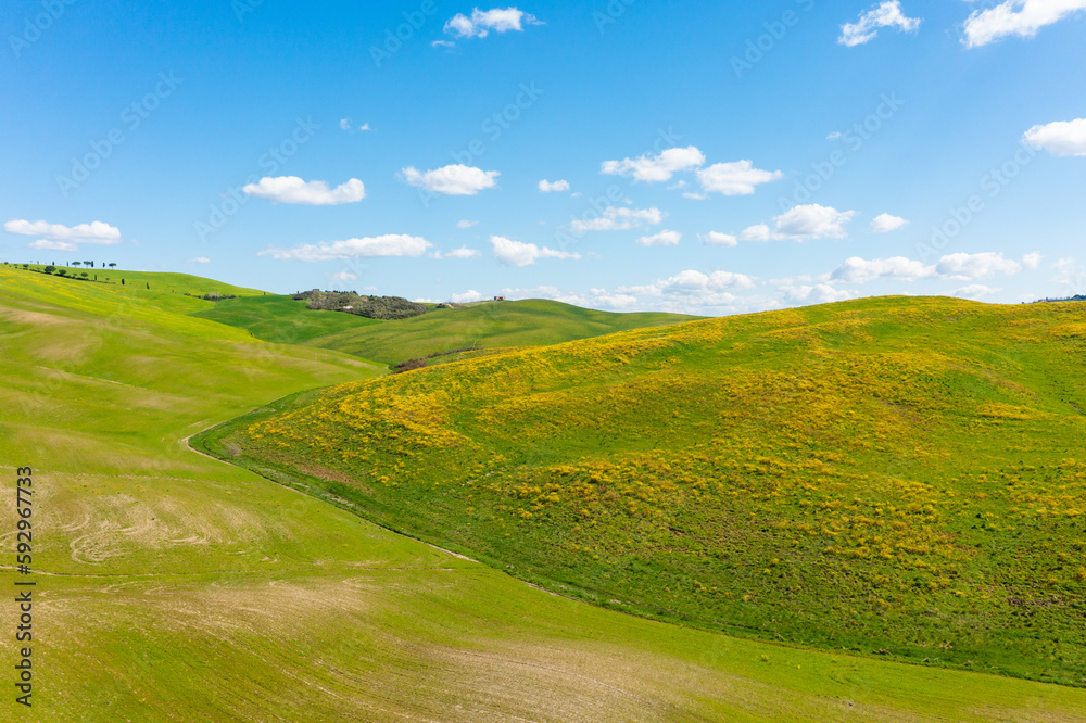 Green and yellow spring panorama landscape of Tuscany, Italy.