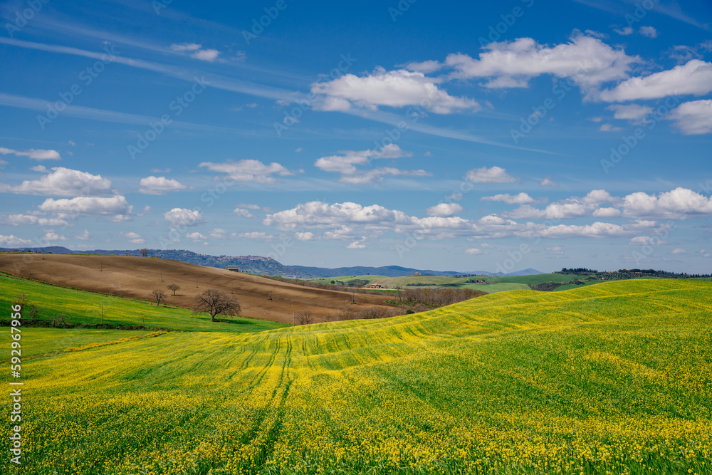 Green and yellow spring panorama landscape of Tuscany, Italy.