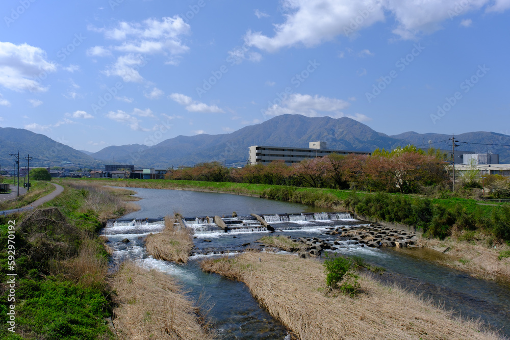Fototapeta premium 福井県敦賀市 笙の川