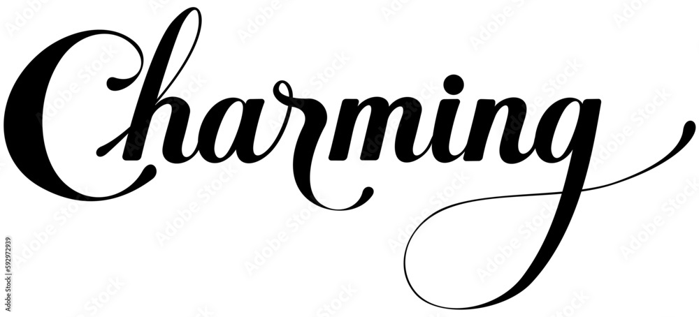 Charming Custom Calligraphy Text Stock Vector Adobe Stock charming-custom-calligraphy-text-stock-vector-adobe-stock