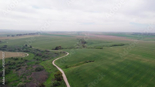 Wheat fields at Bitronot Ruhama, Israel. Drone shot photo