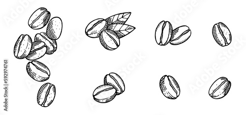 Big set with hand drawn coffee beans isolated on white background. Vegetarian  organic food. Vector Illustration.  