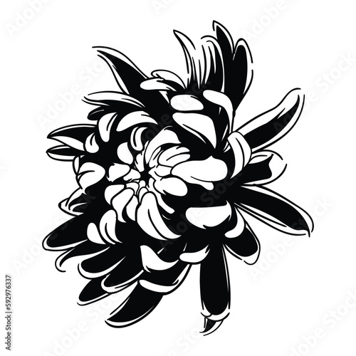 Fototapeta Naklejka Na Ścianę i Meble -  The illustration of flower vector. Suitable for plant and flower icon, sign or symbol.