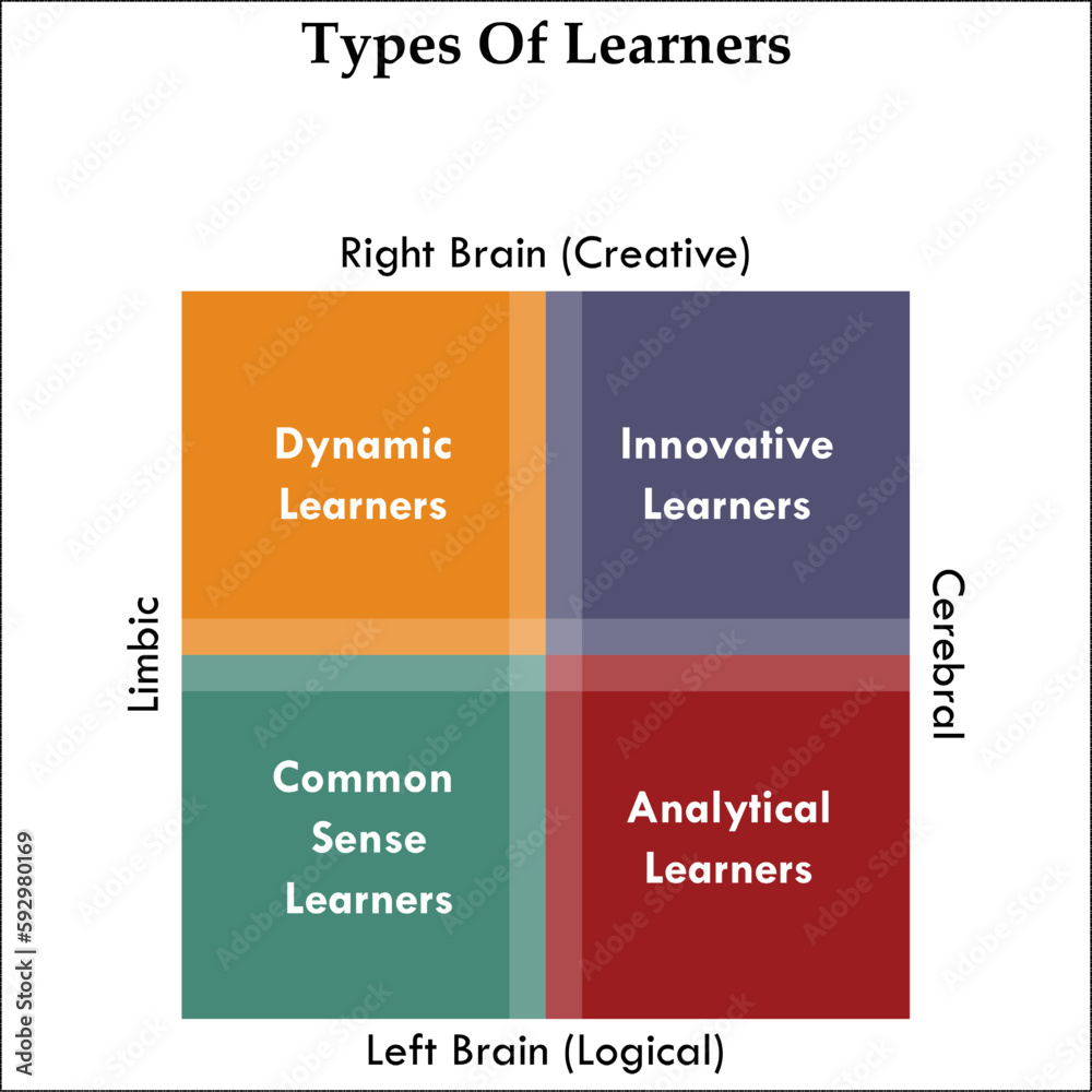 Types of Learners - Dynamic Learner, Innovative Learner, Analytical Learner, Common sense learners. Matrix Infographic template