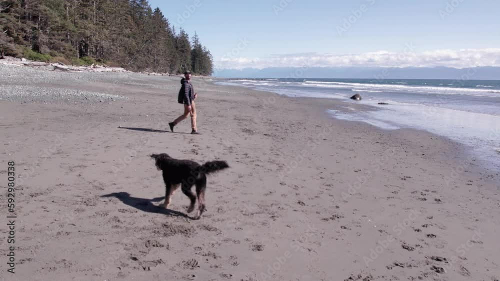 Man playing with dog on beach on sunny day, beautiful coastline, ocean, West Coast Canada, Vancouver Island. 4K 24FPS. Man playing with dog on beach on sunny day, beautiful coastline, ocean, West Coast Canada, Vancouver Island. 4K 24FPS.