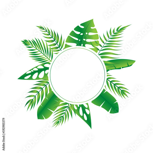 Vector floral frame Forest fern tropical leaf folliage
